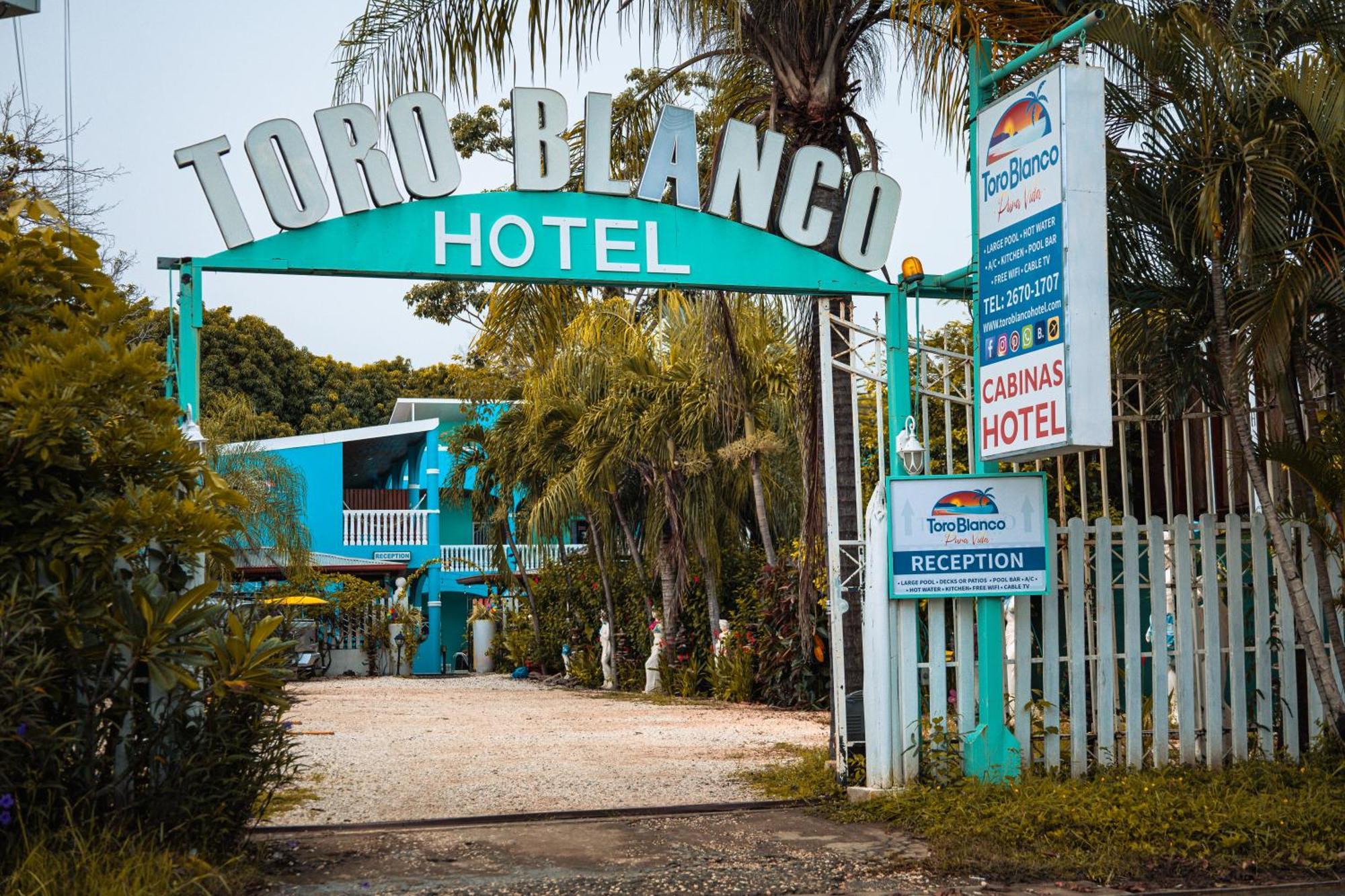 Toro Blanco Lejlighedshotel Coco Eksteriør billede